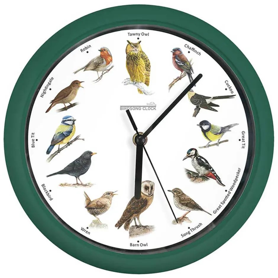 Ceas de perete Starlyf Birdsong, d 25, verde