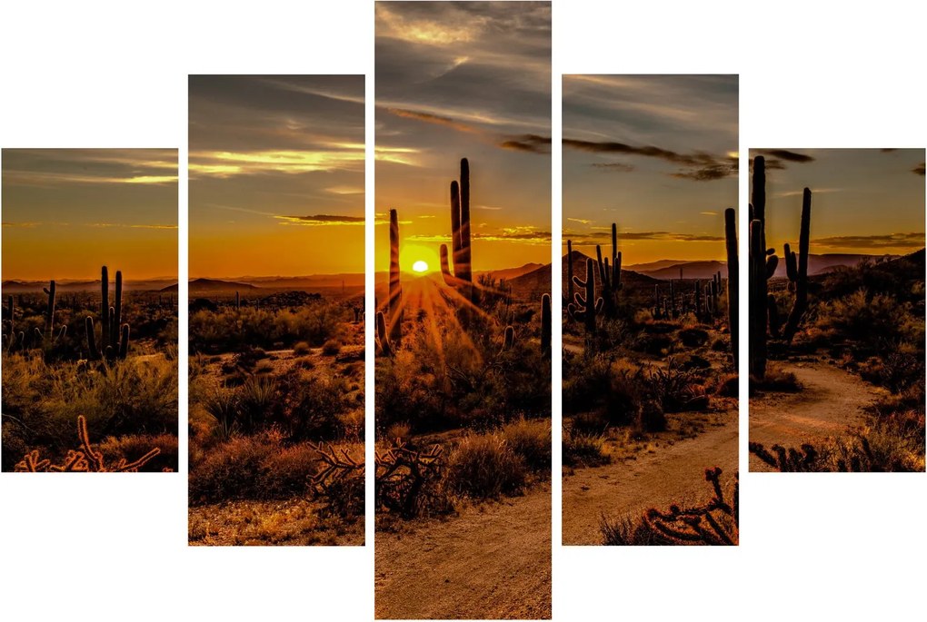 Tablou - Sfărșit de zi în deșertul Arizona (150x105 cm)