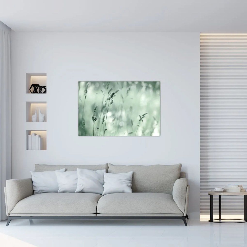 Tablou - Pajiște verde (90x60 cm)