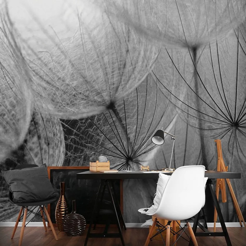 Fototapet - Detaliu păpădiilor (152,5x104 cm)
