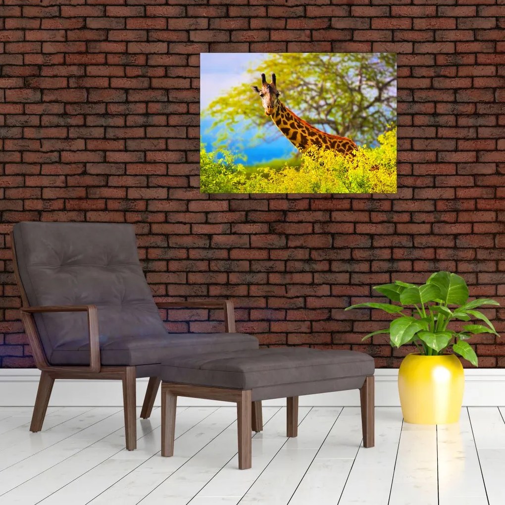 Tablou - Girafa în Africa (70x50 cm)