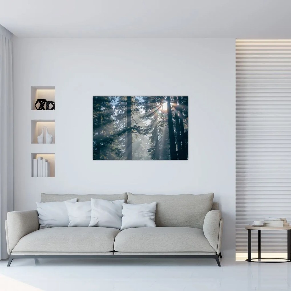 Tablou cu copaci și soarele translucind (90x60 cm)