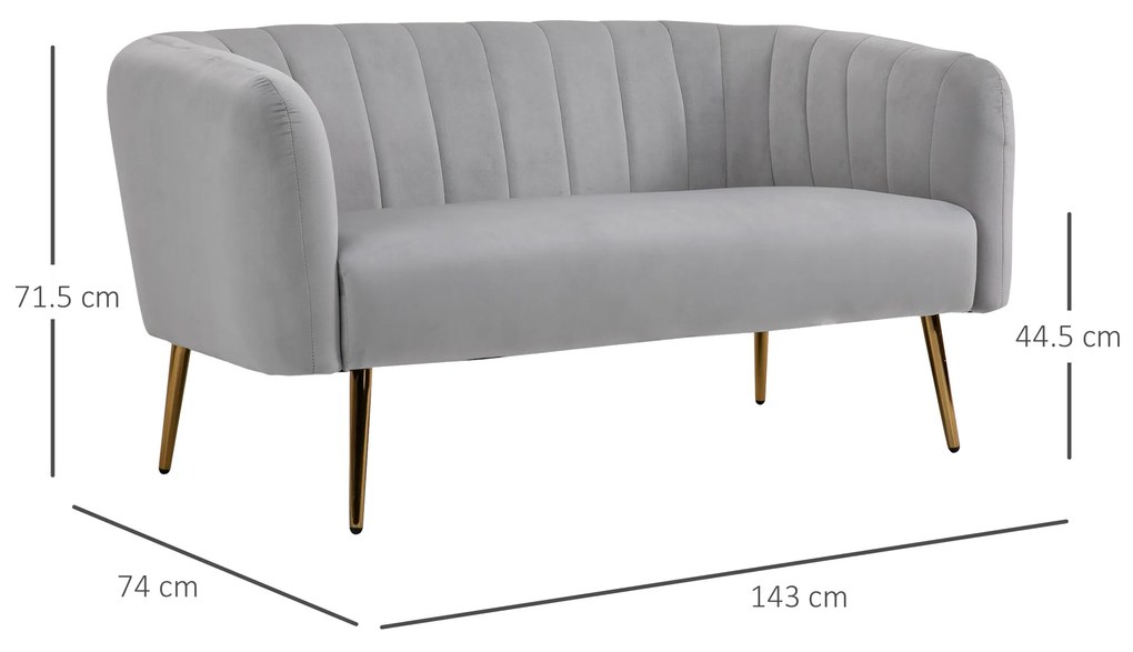 HOMCOM Canapea 2 Locuri Design Modern Captusita cu Cotiere si Spatar, Gri