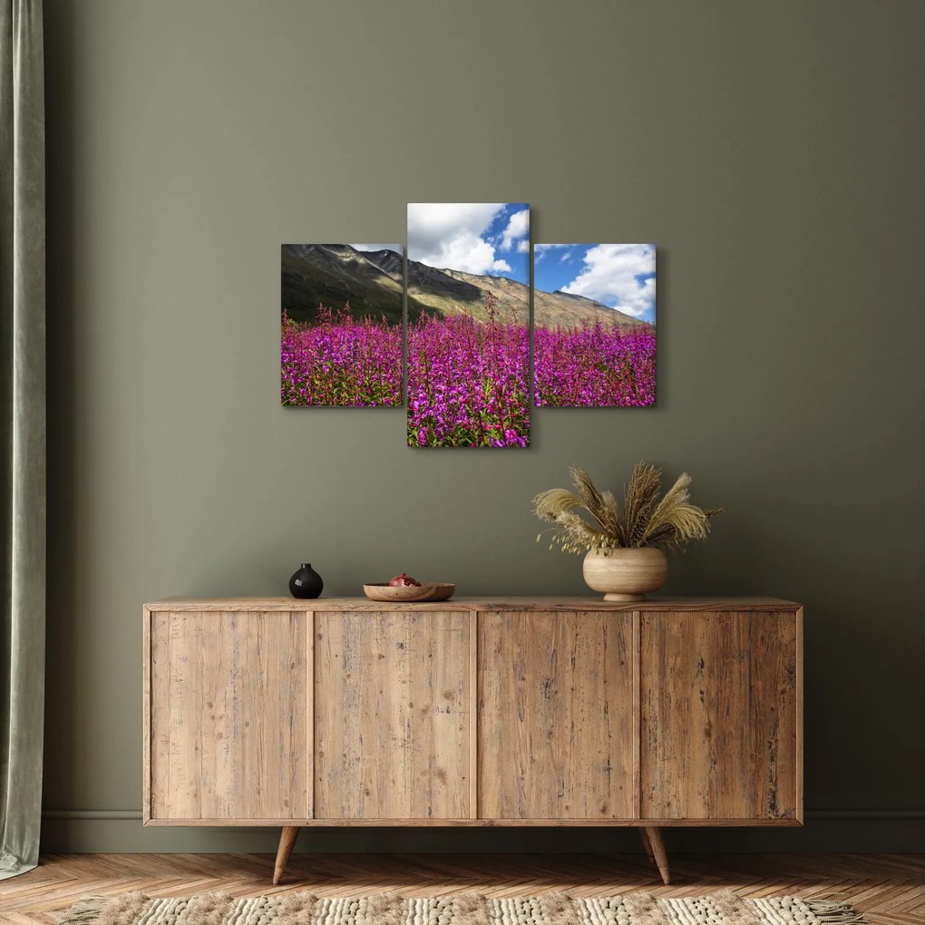Tablou sceneriei cu lunca montană (90x60 cm)