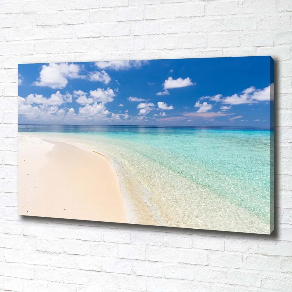 Tablou canvas Plajă în maldive