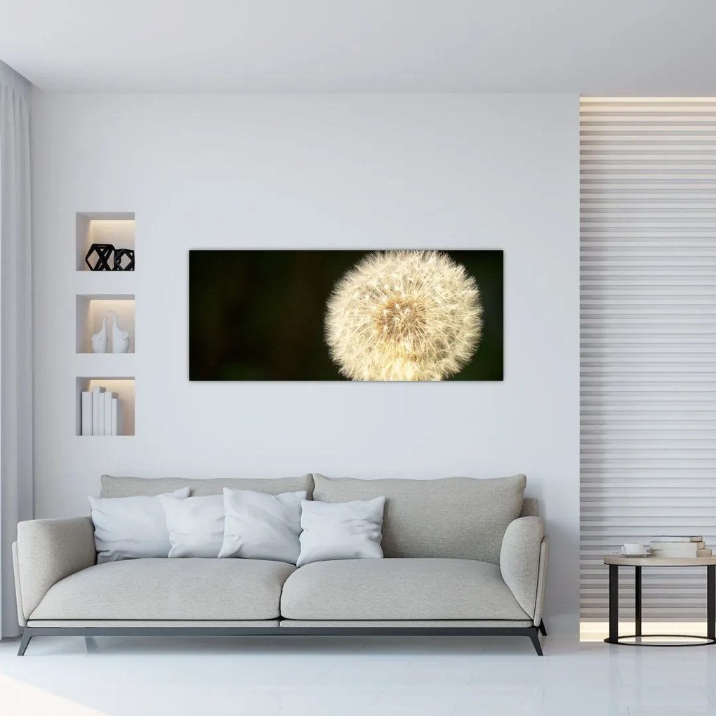 Tablou cu păpădie gri (120x50 cm)