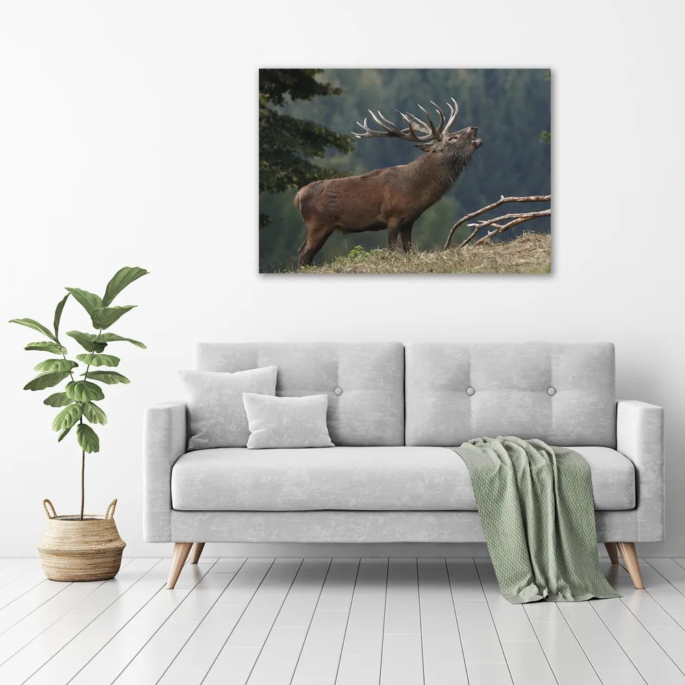 Tablou pe pânză Deer pe deal