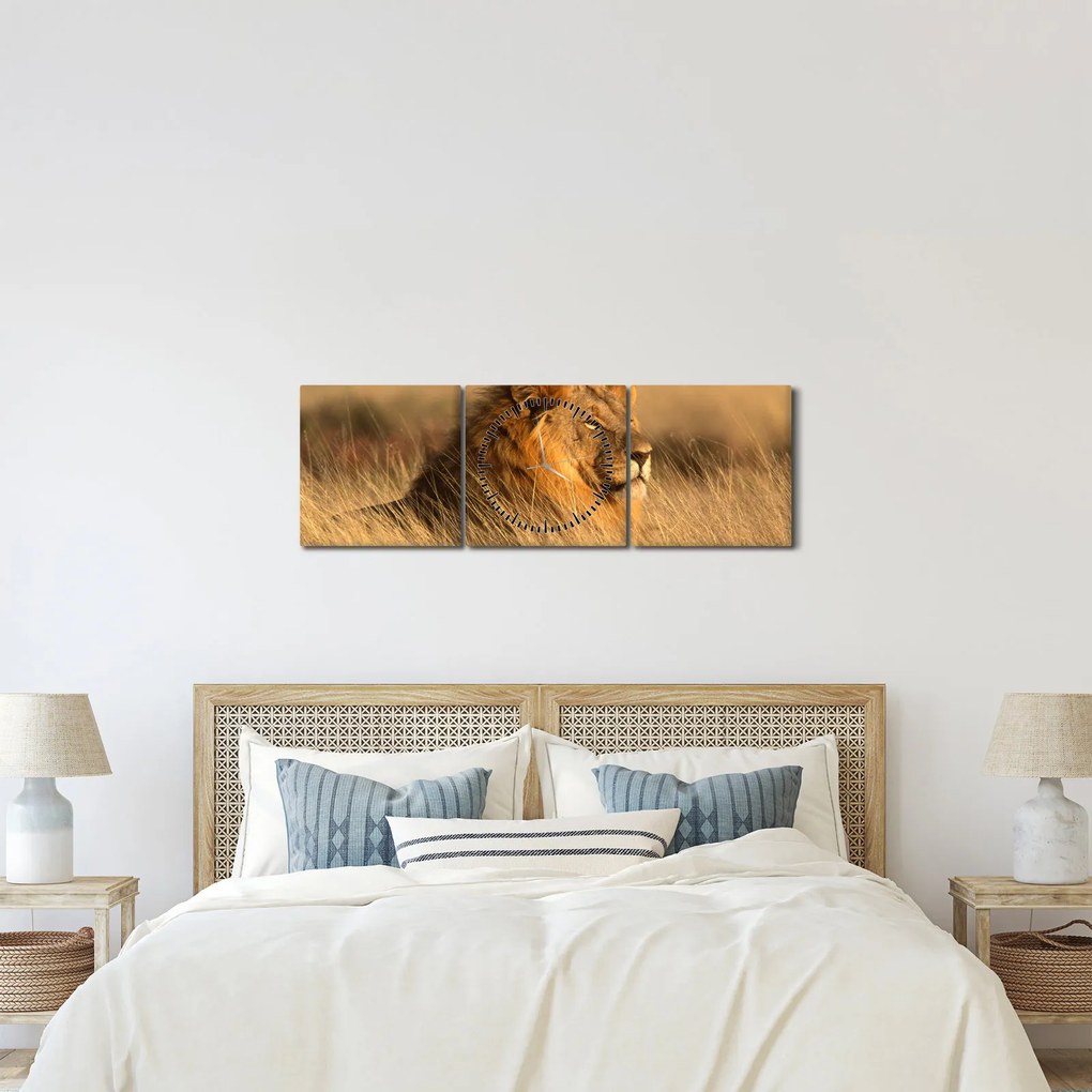 Tablou - Parcul Național Etosha (cu ceas) (90x30 cm)