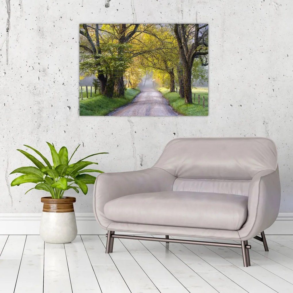 Tablou - Smoky Mountains, Gatlinburg, SUA (70x50 cm)