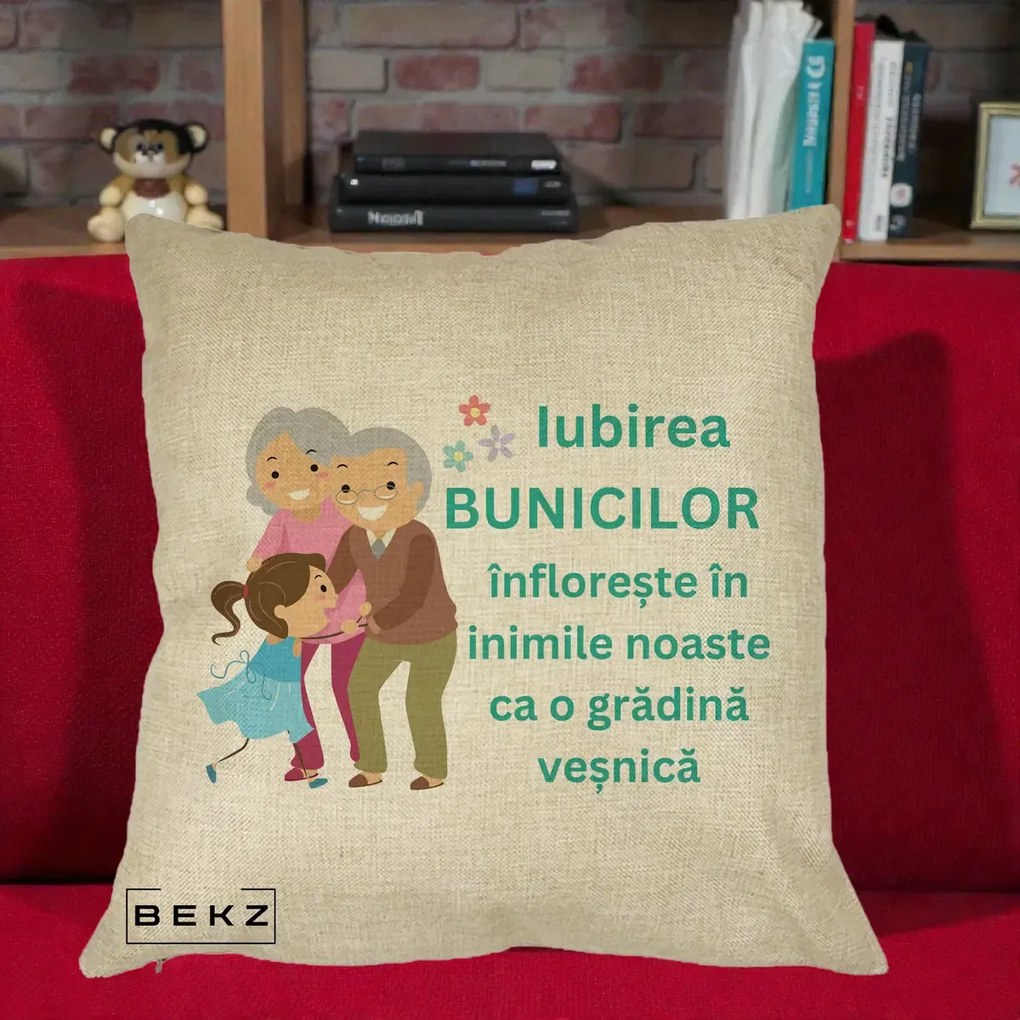 Cadou pentru Bunici - Perna Personalizata Bunicii Iubirea Infloreste cu Nepoata Teal, 40x40 cm, Crem, Husa Detasabila, Perna Inclusa, BEKZ®