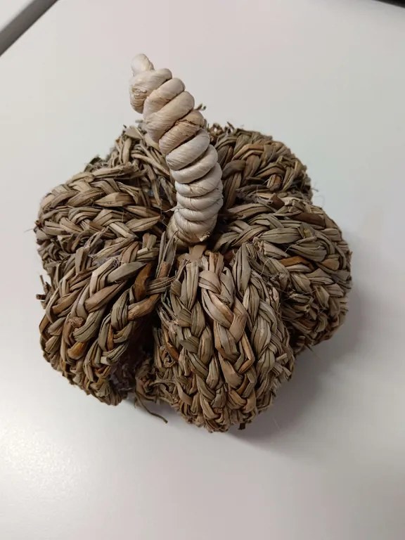 OFERTA Decoratiune dovleac PUMPKIN COACH GRASS II.calitate