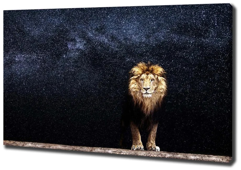 Tablou pe pânză canvas Leul pe fondul de stele