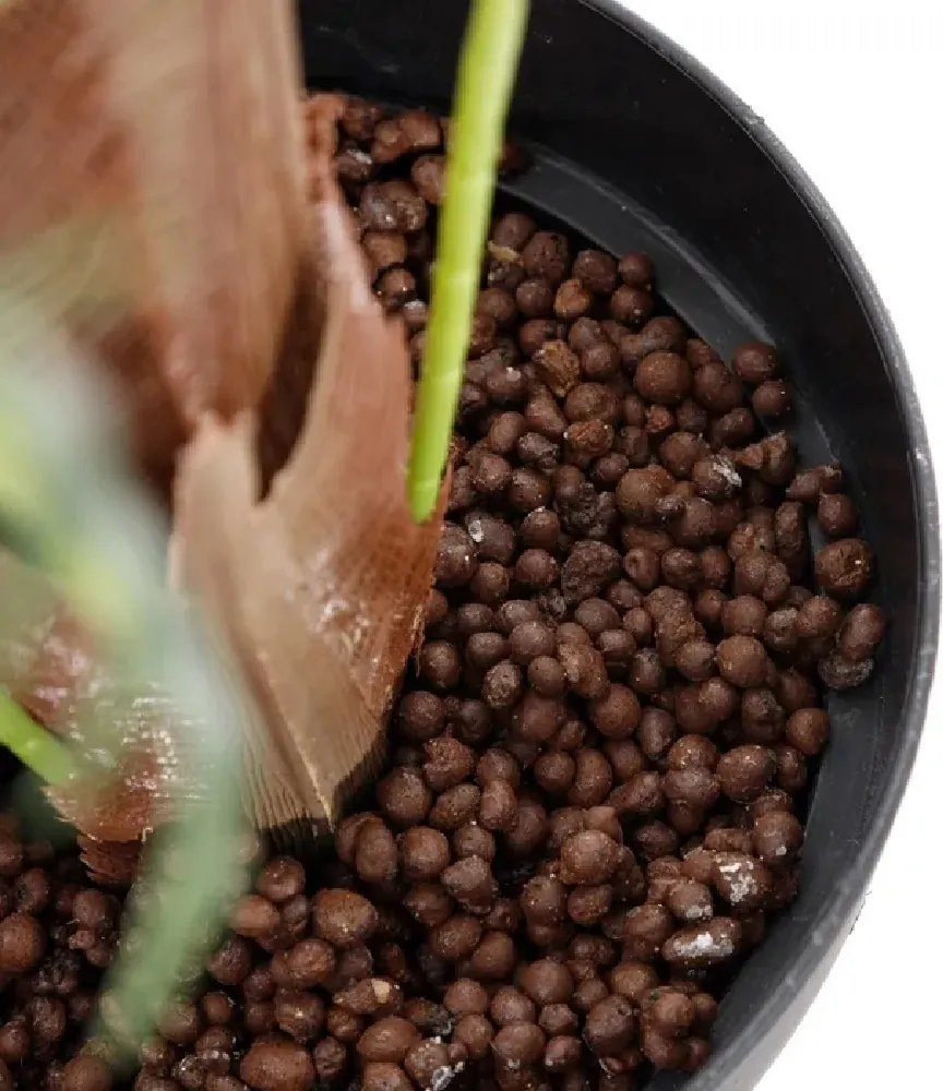 Planta artificiala decorativa PALM-TREE BUTTERFLY GREEN, 230cm SX-152179