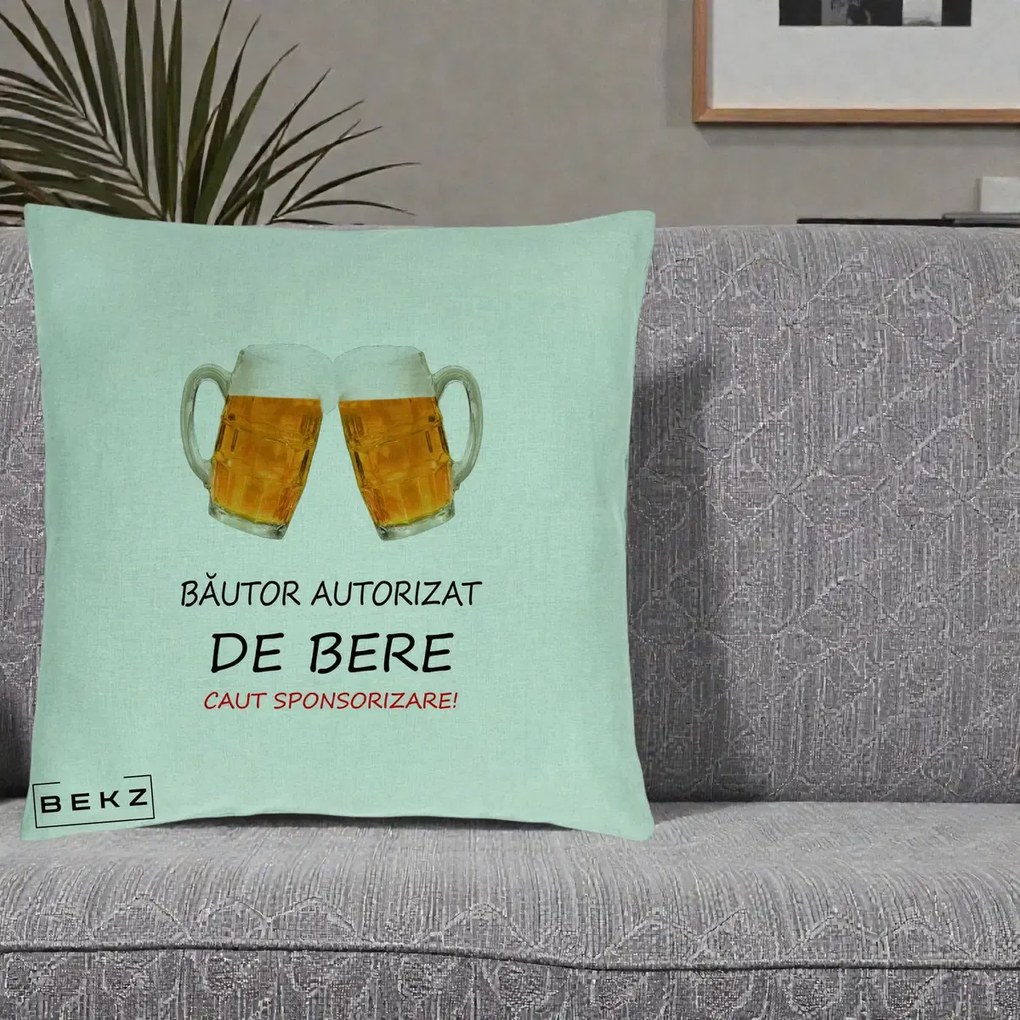 Perna Decorativa Bautor Autorizat de Bere, 40x40 cm, Verde Menta, Husa Detasabila, Perna Inclusa, BEKZ®