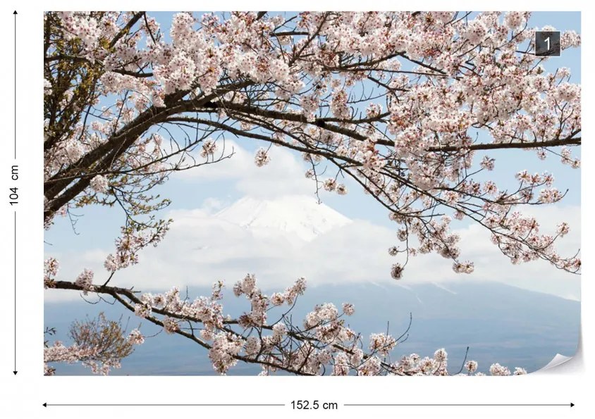 Fototapet - Cires inflorit