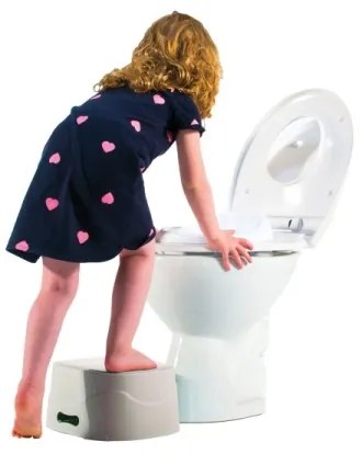 Oliță 3 în 1 DiaperChamp POTTYCHAMP gri