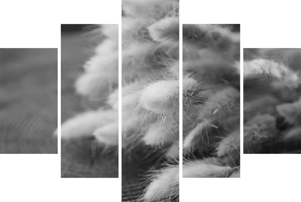Tablou - iarbă de coadă de iepure pe masă (150x105 cm)