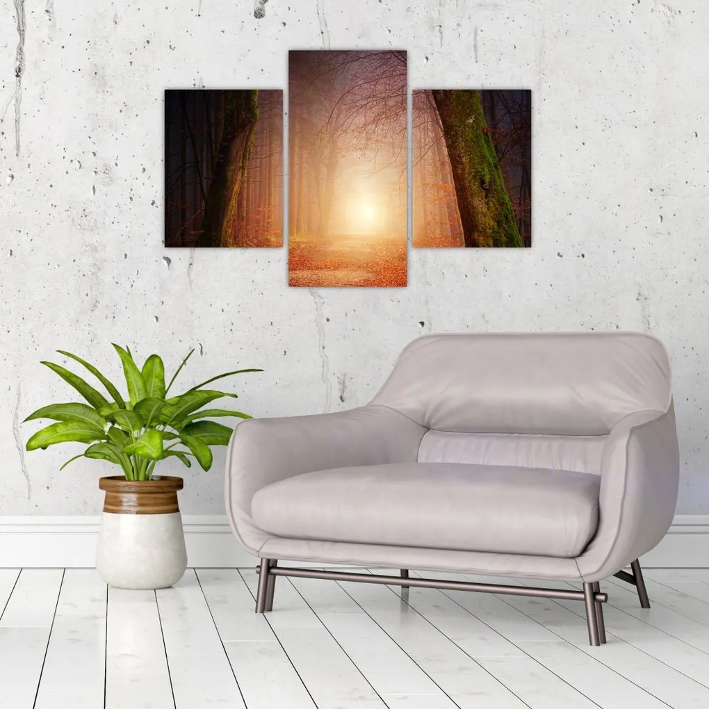 Tablou cu pădurea toamna în ceață (90x60 cm)