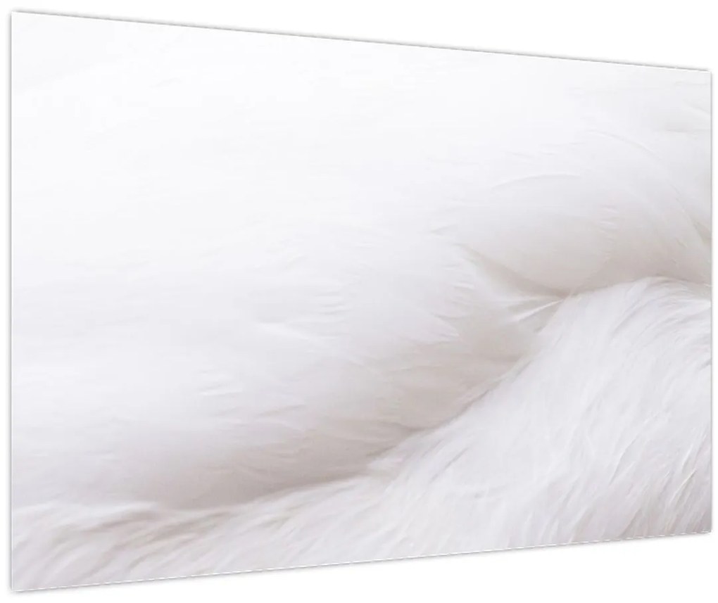 Tablou - Pană albă (90x60 cm)