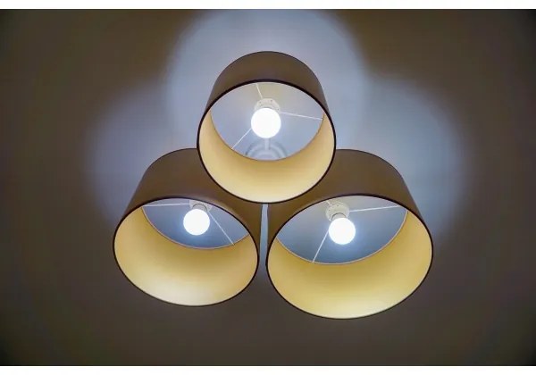 Duolla - Plafonieră ROLLER TRIO 3xE27/60W/230V maro