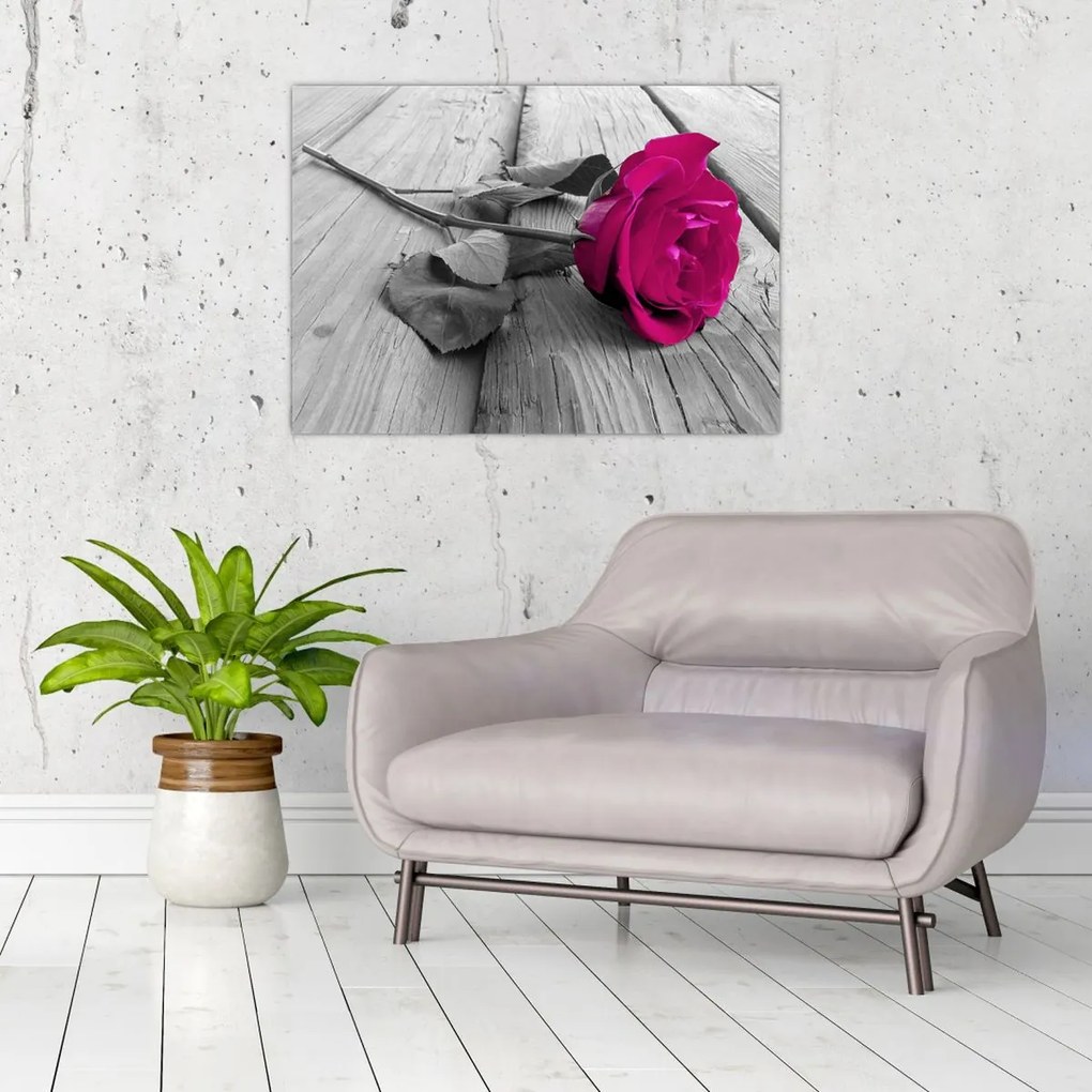 Tablou - Trandafir roz (70x50 cm)