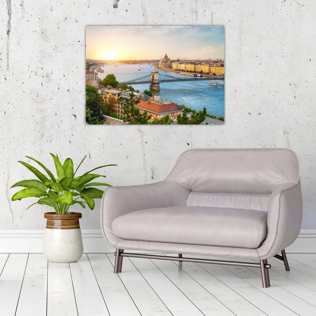 Tablou cu orașul Budapesta și râu (70x50 cm)