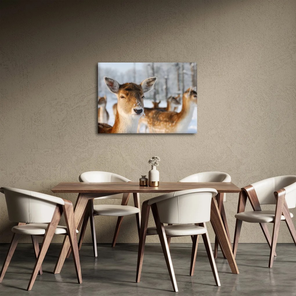 Tablou - Cerbi (70x50 cm)