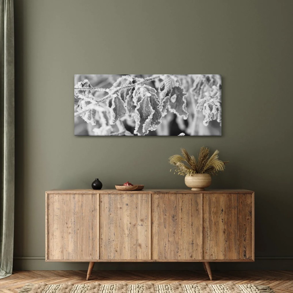 Tablou - Frunze înghețate,alb-negru (120x50 cm)