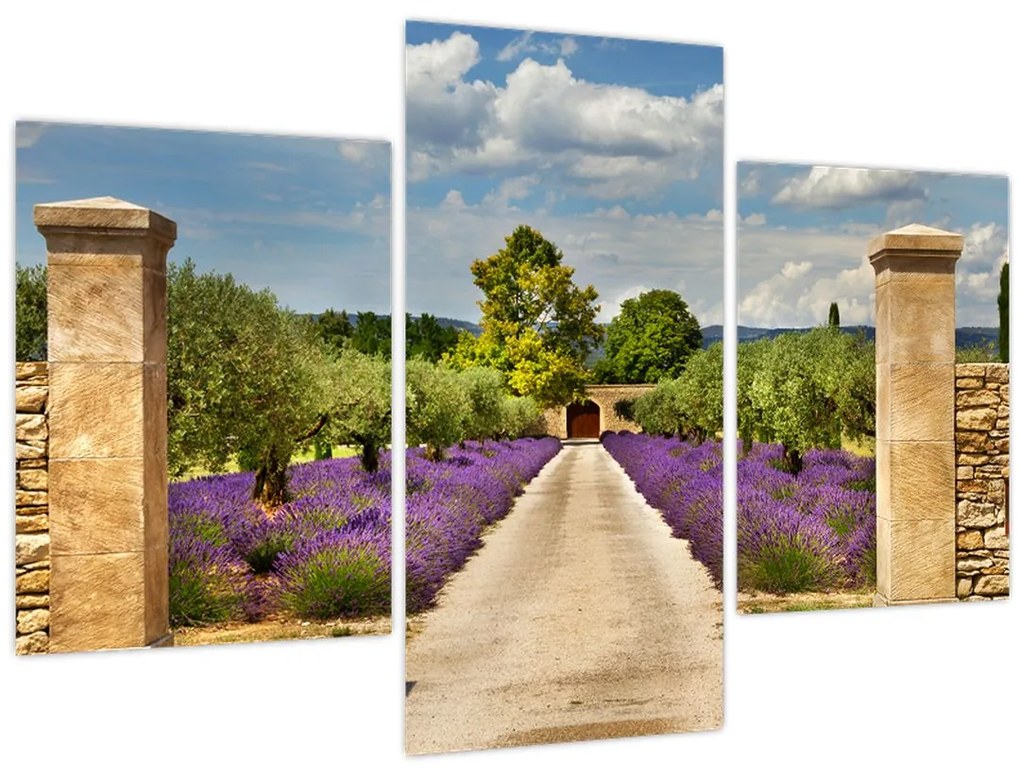 Tablou - Căi de lavandă (90x60 cm)