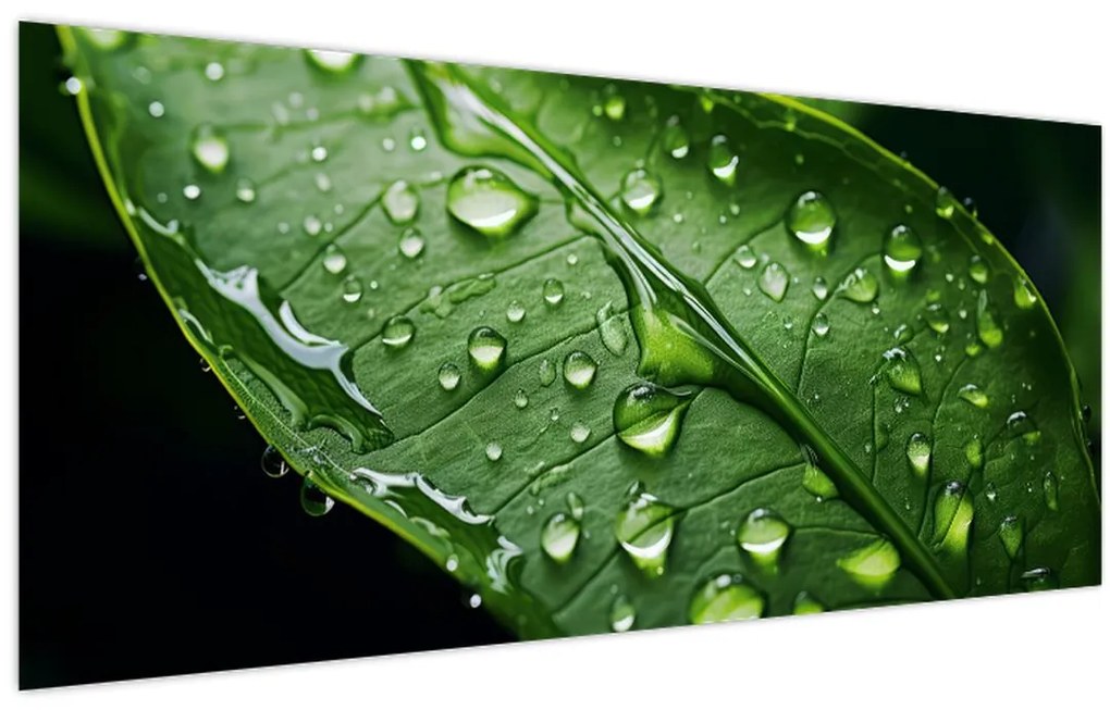 Tablou - Frunză după ploaie (120x50 cm)
