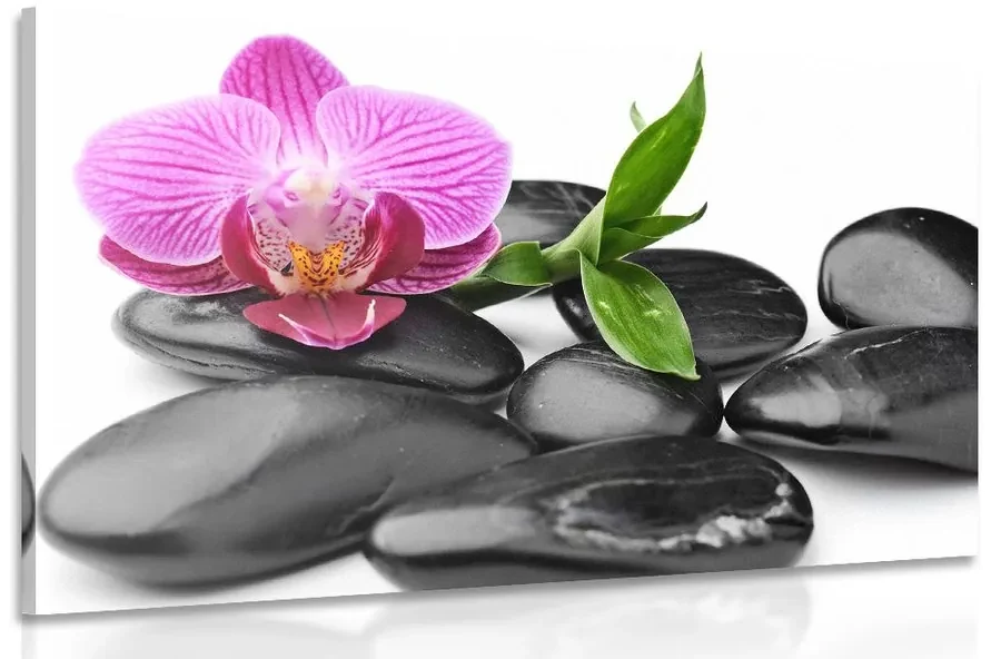 Tablou pietre wellness de masaj