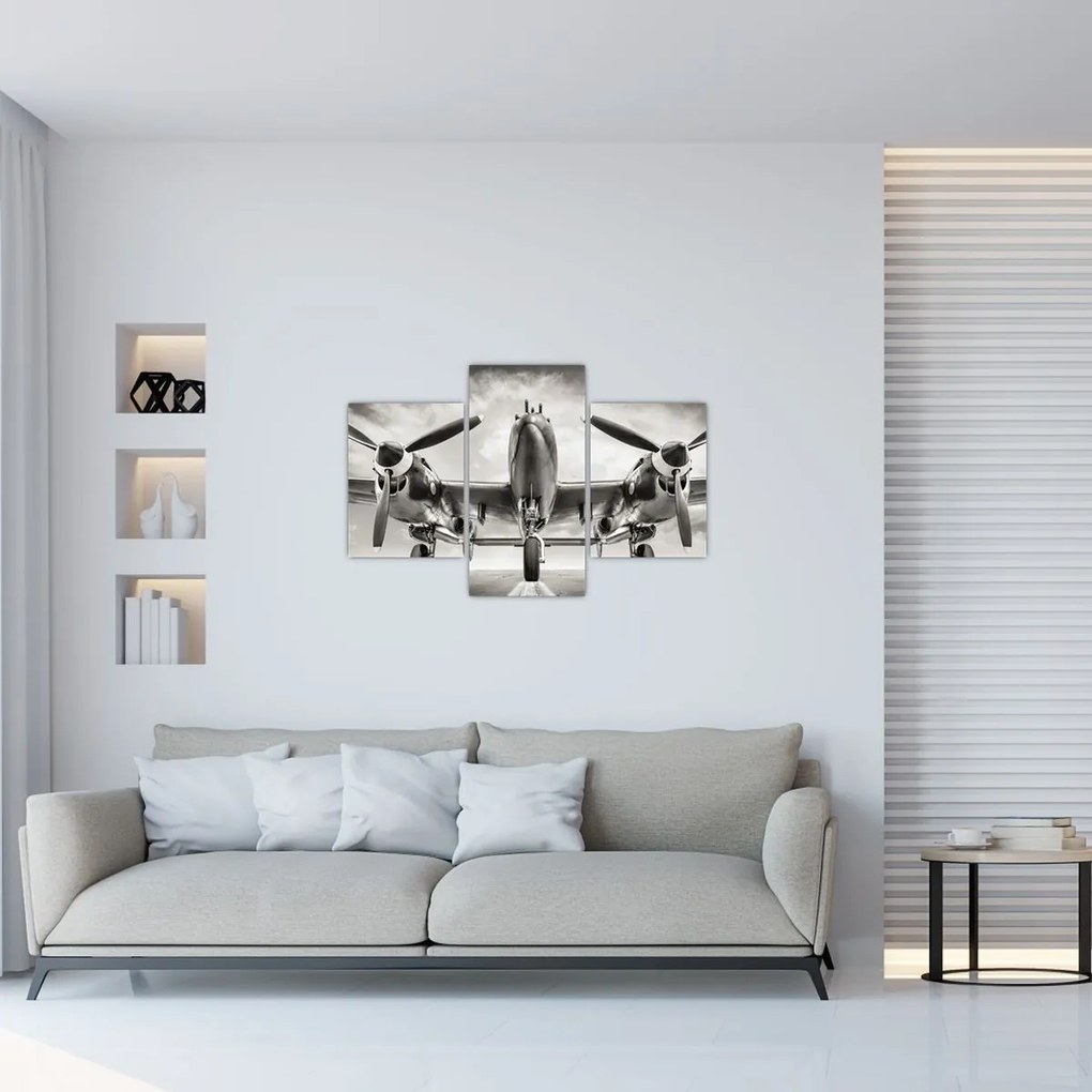 Tablou - Warbird (90x60 cm)