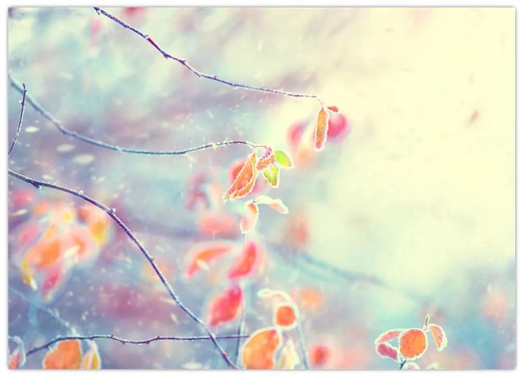 Tablou pe sticlă - Frunze în gheață (70x50 cm)