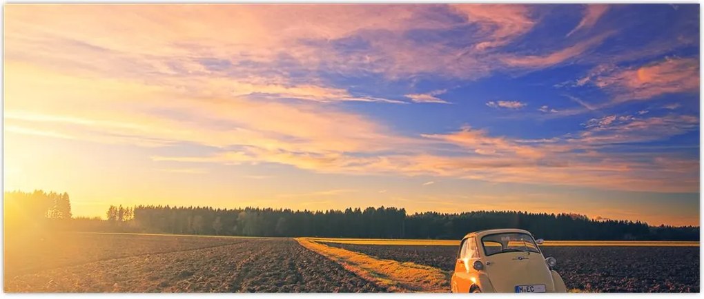 Tablou - Mașină galbenă ăn câmp (120x50 cm)