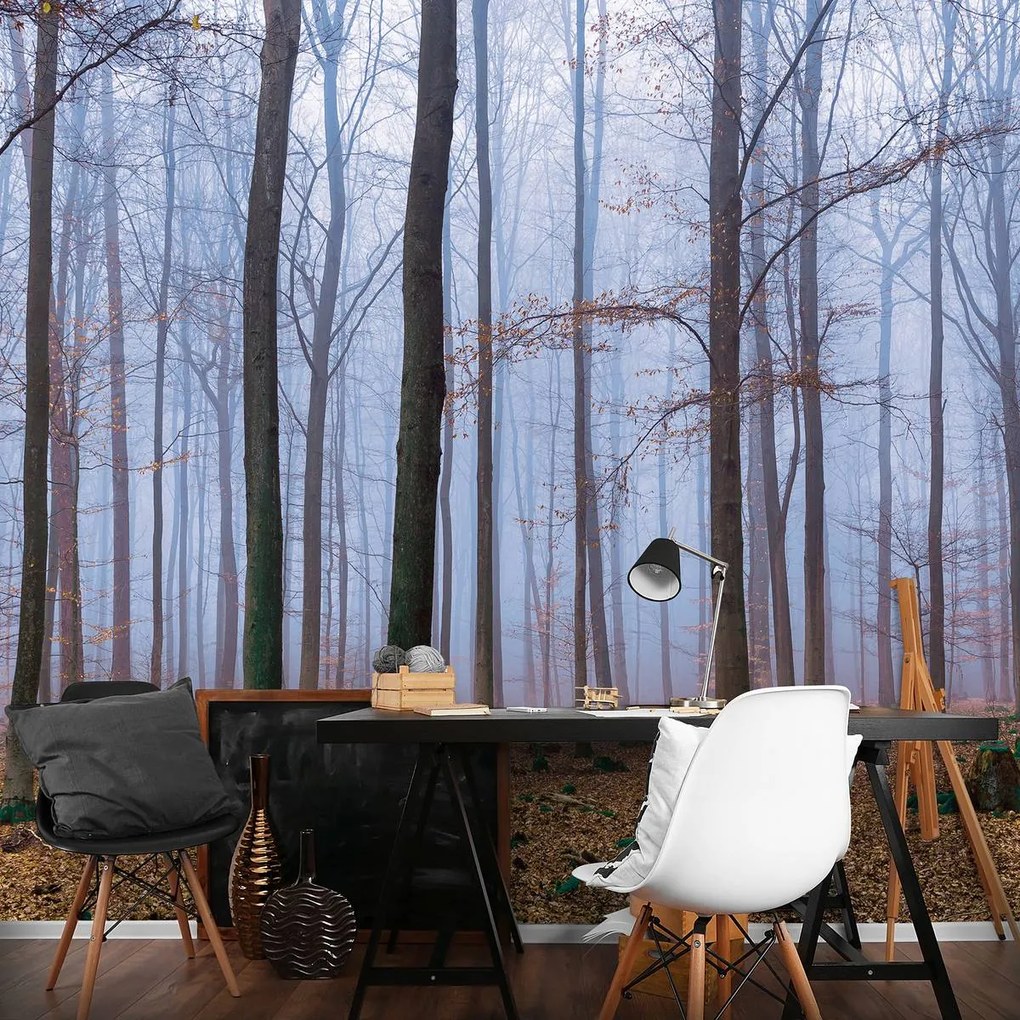 Fototapet - Pădure (152,5x104 cm)