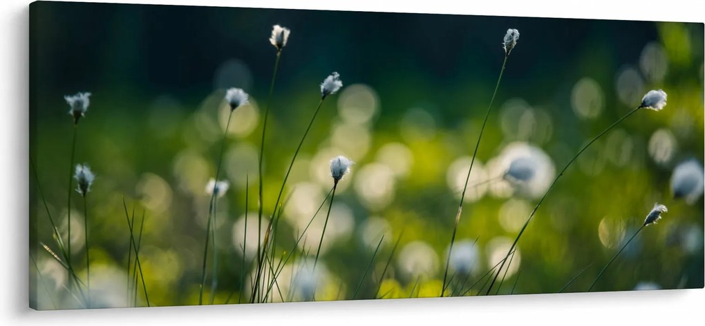 Tablou - Iarbă (120x50 cm)