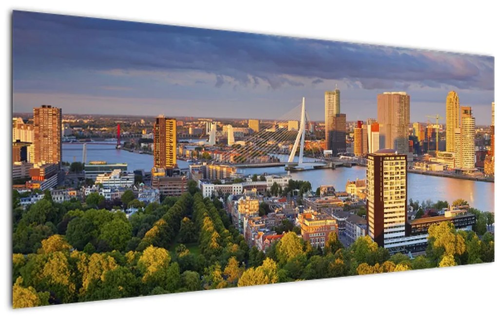 Tablou - Panorama Rotterdamului, Țările de Jos (120x50 cm)