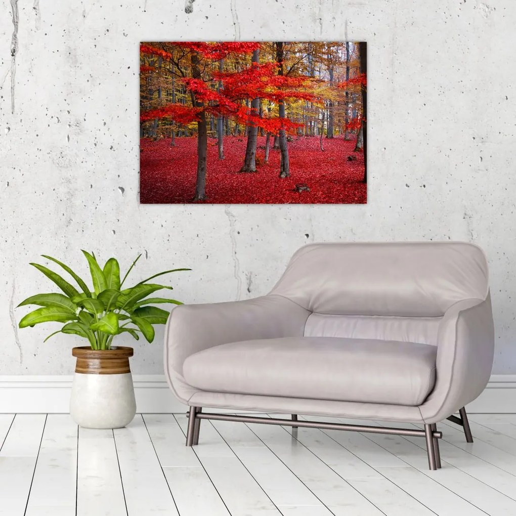 Tablou pe sticlă - Pădurea roșie (70x50 cm)