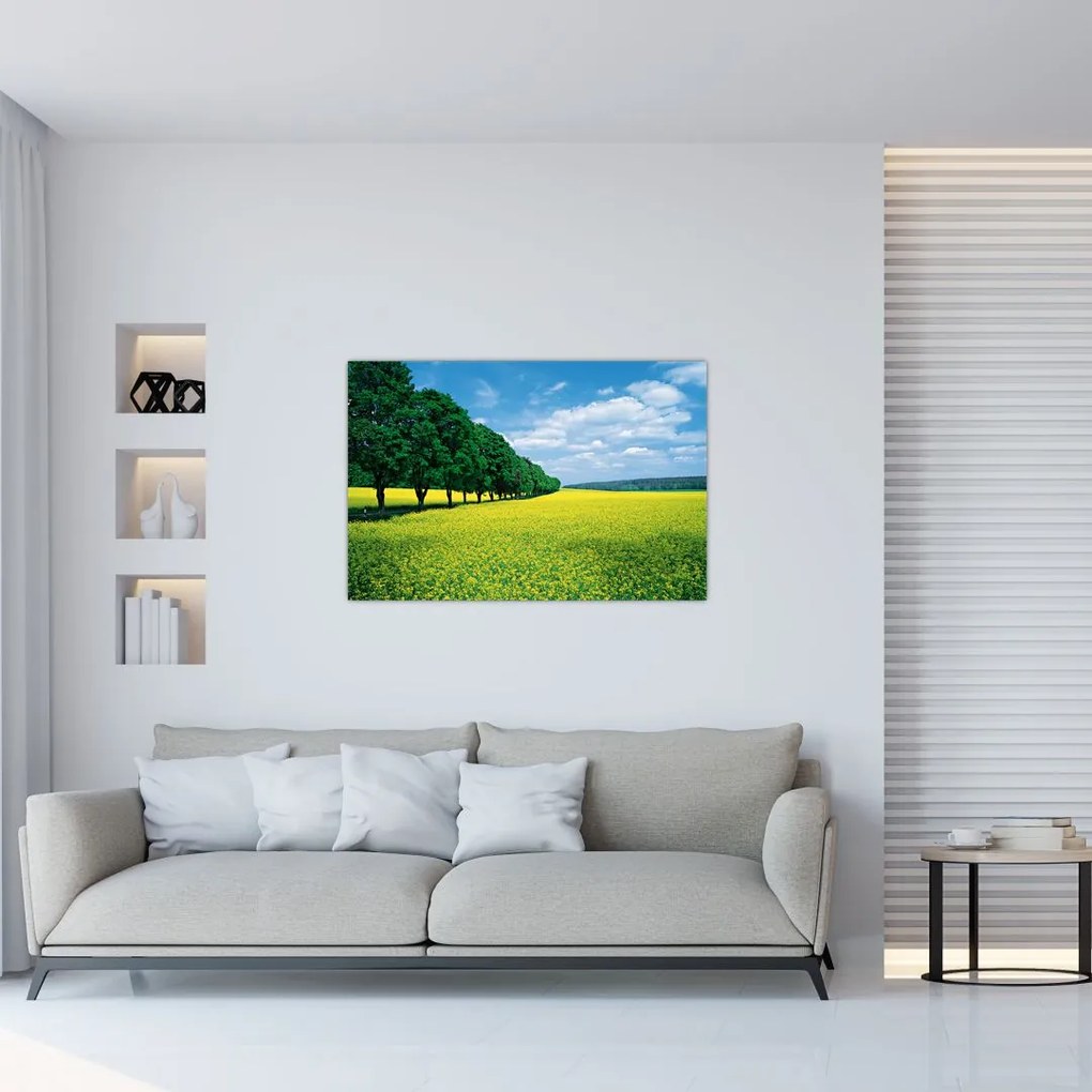 Tablou - Câmp cu alei (90x60 cm)