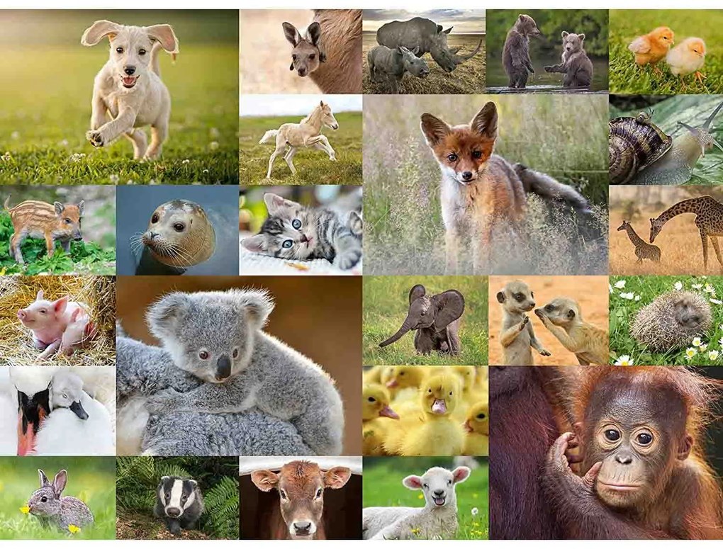 PUZZLE PUI DE ANIMALE, 200 PIESE - RAVENSBURGER (RVSPC13353)