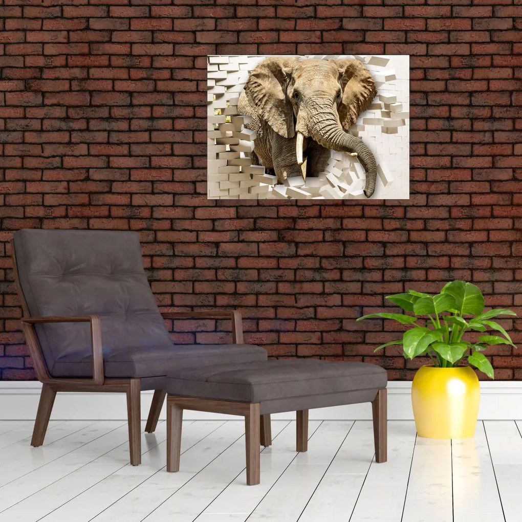 Tablou pe sticlă - Elefant spârgând peretele (70x50 cm)