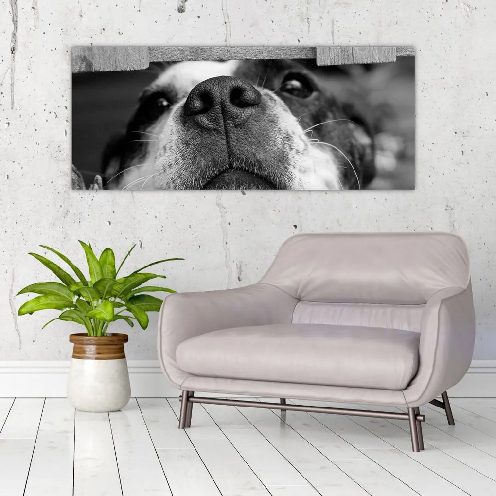 Tablou cu câine (120x50 cm)