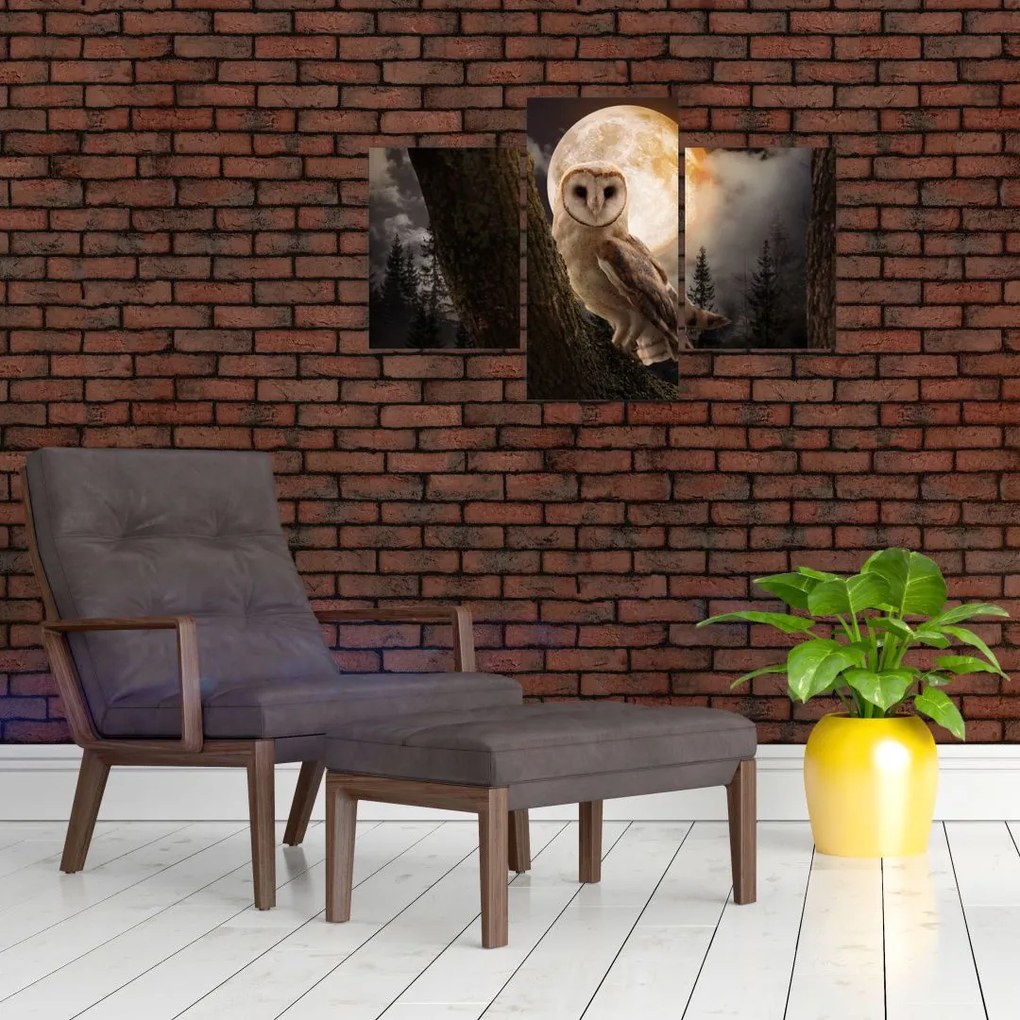 Tablou cu bufnița (90x60 cm)