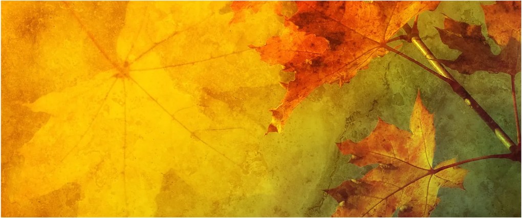 Tablou - Frunze de toamnă (120x50 cm)