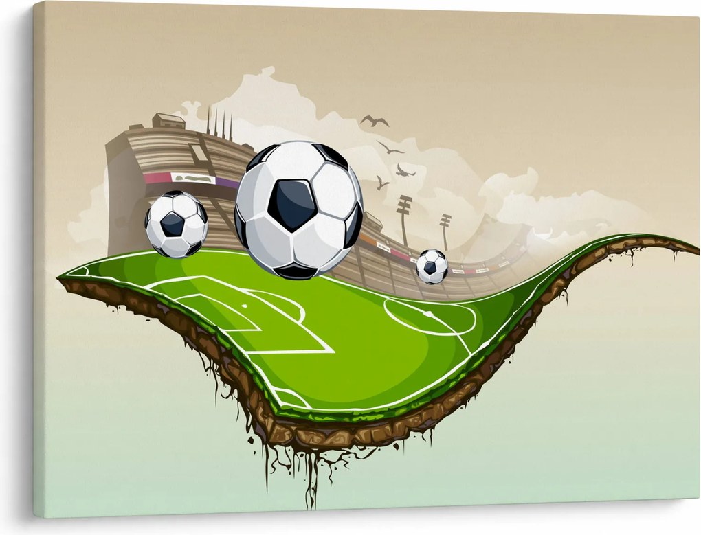 Tablou - Teren de fotbal (70x50 cm)