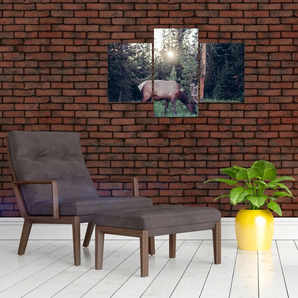 Tablou - Elan în poiană (90x60 cm)