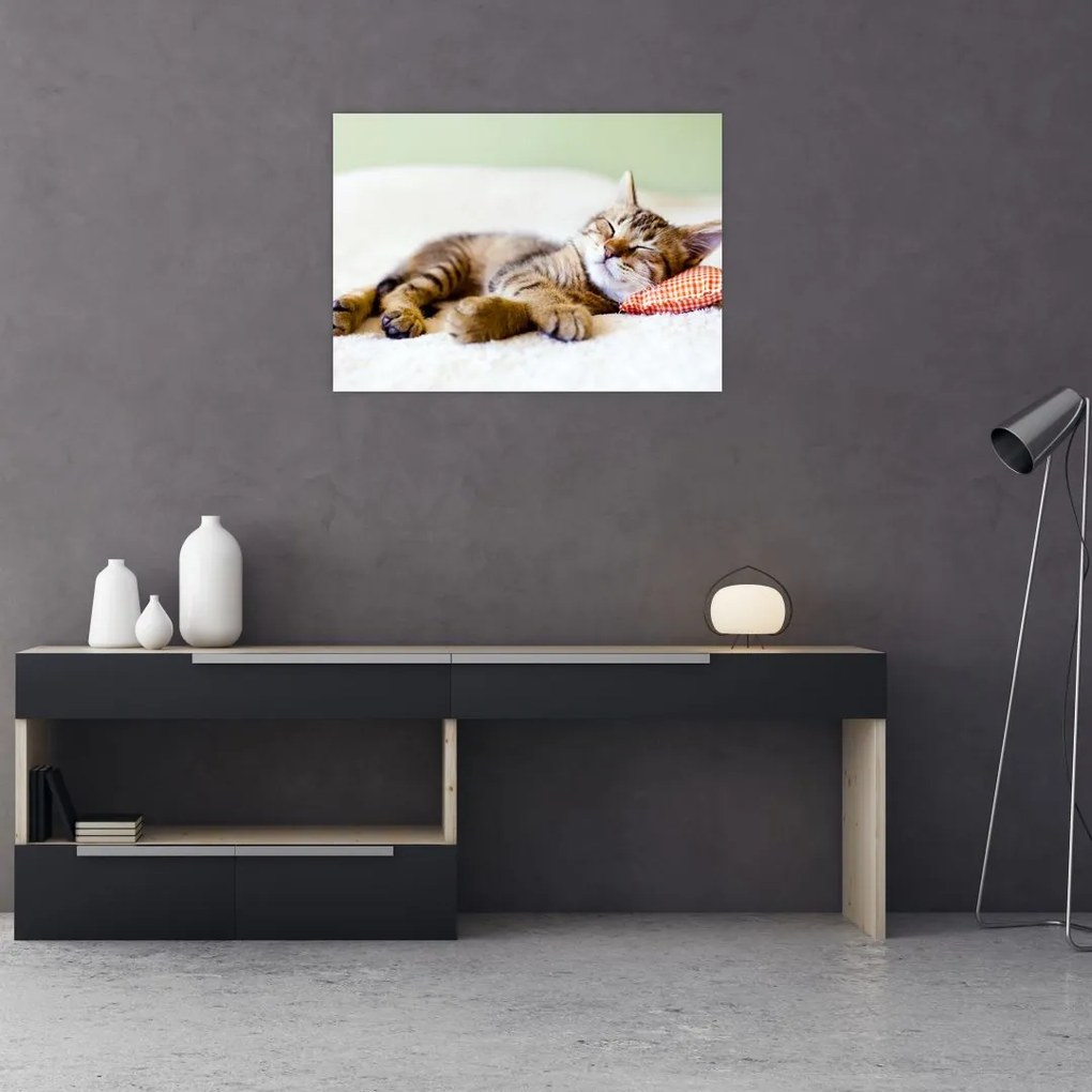 Tablou - Pisicuța adormită (70x50 cm)