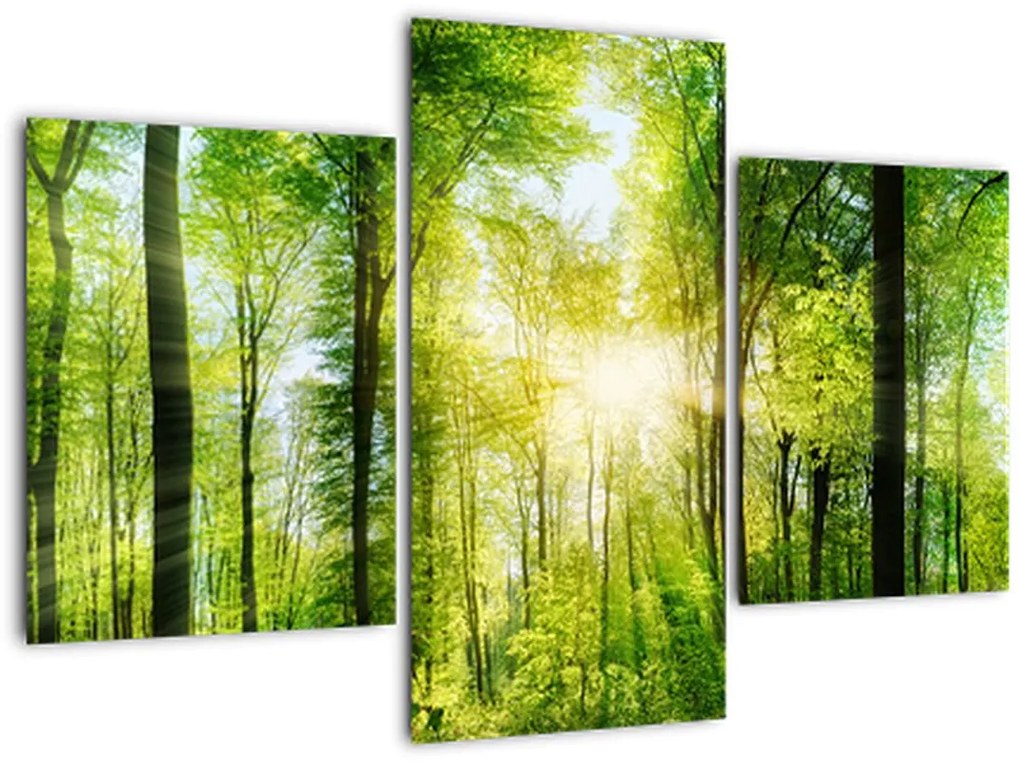 Tablou - Răsărit în pădure (90x60 cm)