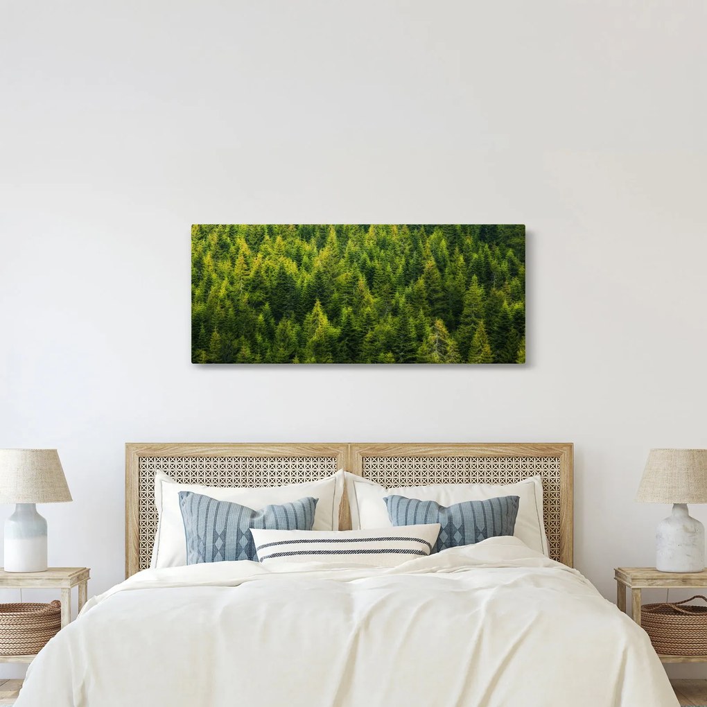 Tablou - Pădure deasă (120x50 cm)