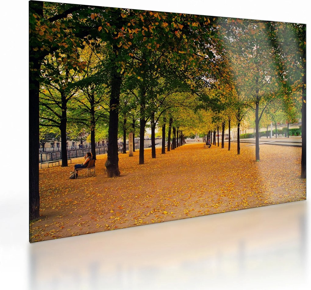 Tablou pe sticlă cu alee cu copaci în toamnă (70x50 cm)